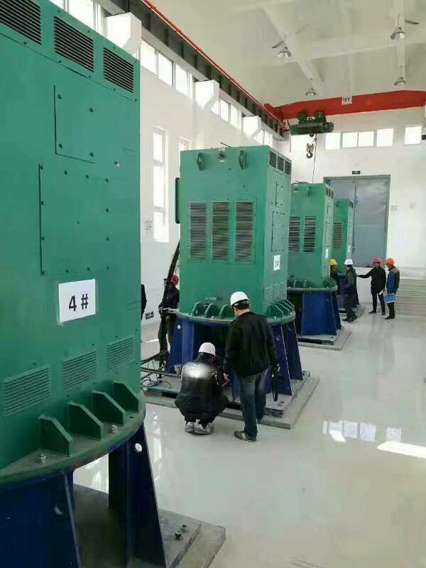 YRKK5603-8/710KW某污水处理厂使用我厂的立式高压电机安装现场